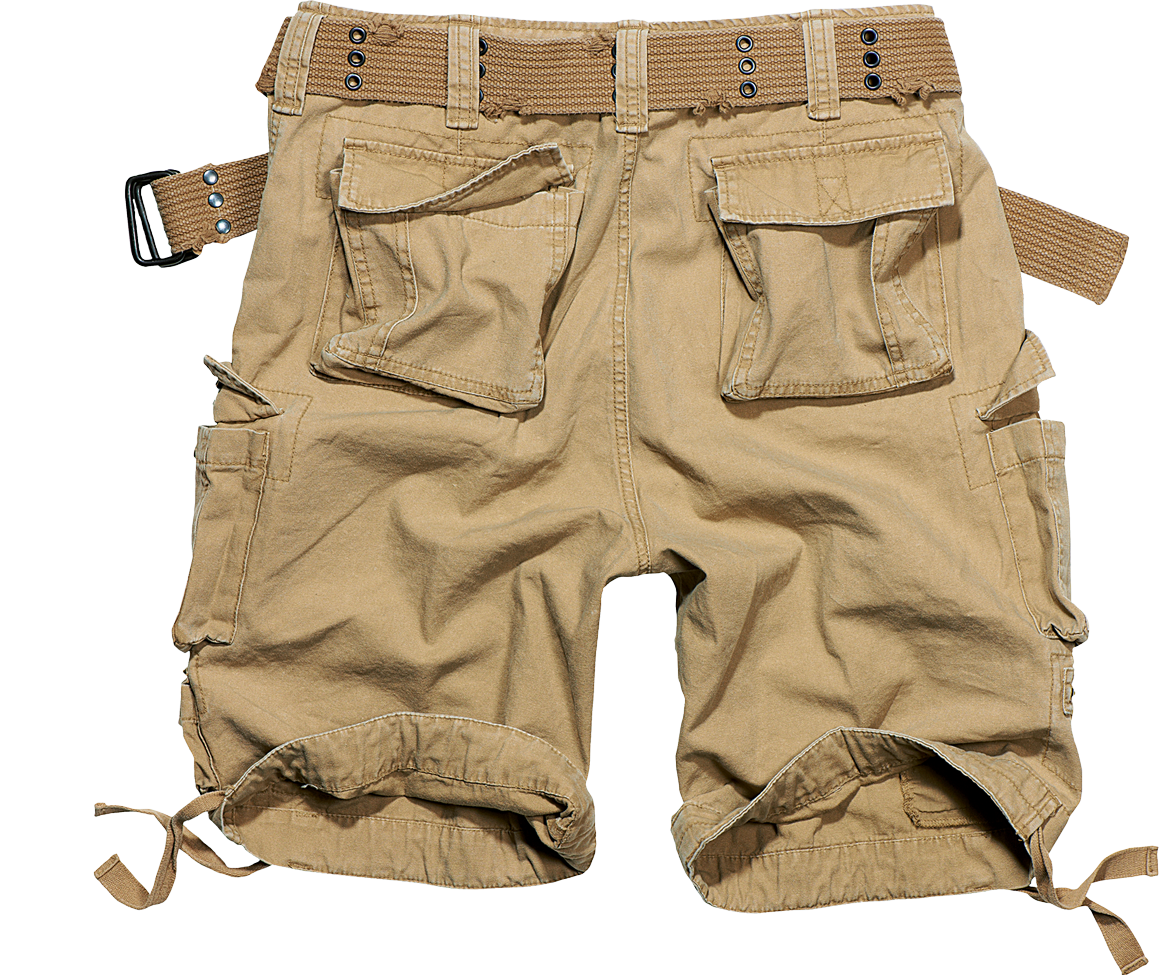 Savage Shorts "Brandit"