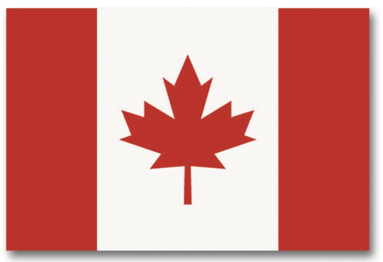Flagge 90cm x 150cm